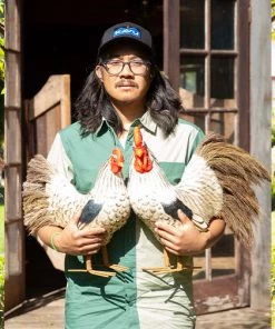 KAVU Above Standard HEADWEAR