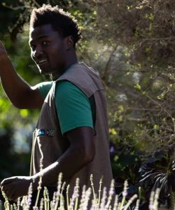 KAVU MENS All Nighter