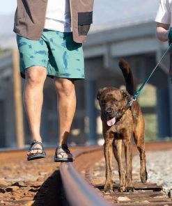 KAVU Chilli H2O MENS