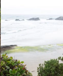 KAVU WOMENS Pinesdale